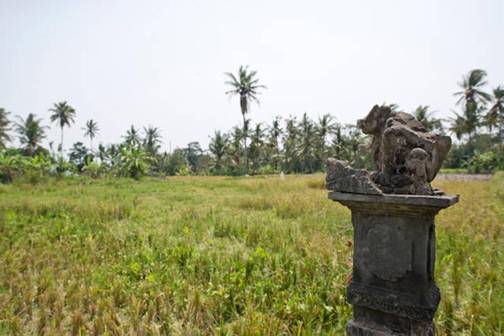 Villa Nyoman Ubud Bagian luar foto